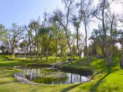 Real Del Bosque Golf&spa Tula de Allende